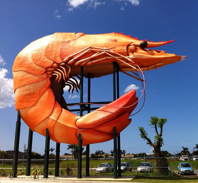 Big-prawn.jpg