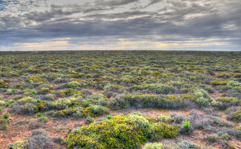 5-nullabor-landscape.jpg